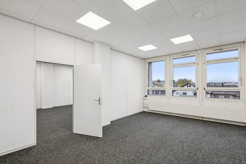 empty room, white walls, grey carpet, white ceiling, white door, windows with view to outside