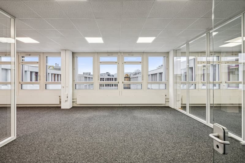 empty room, large windows, glass walls and doors, carpeted floor