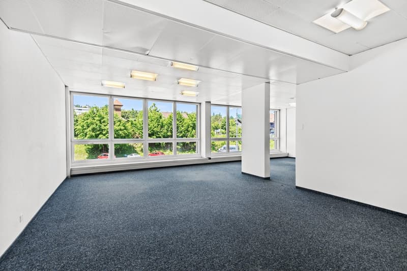spacious room, white walls, large windows, view of the outdoors, ceiling lights