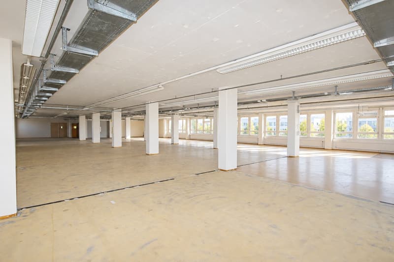 Büro-, Gewerbe- oder Lagerfläche zu attraktiven Konditionen! (1)