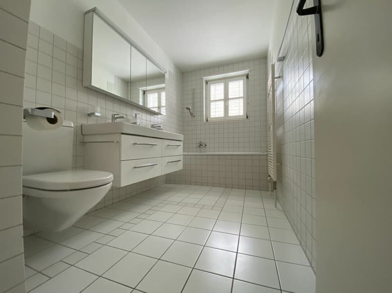 Appartamento mansardato unico con charme e vista mozzafiato (6)