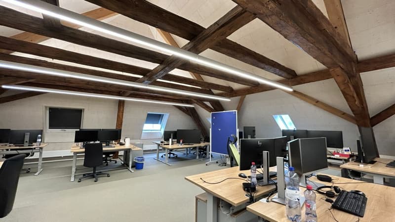 Historisches Wohn- und Geschäftshaus im Herzen von Olten (3)