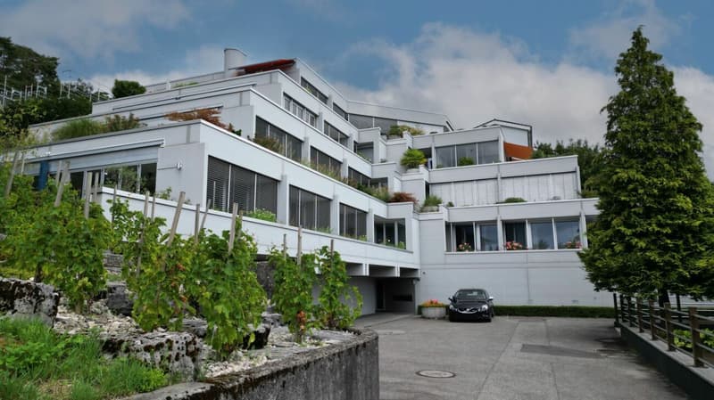 Aussergewöhnliche Eigentumswohnung (2)