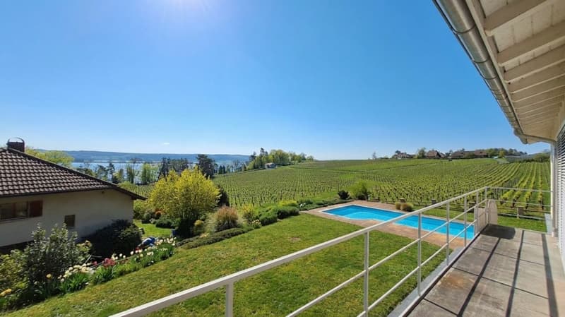 Villa d'exception avec vue spectaculaire sur le lac et l'île St. Pierre (6)