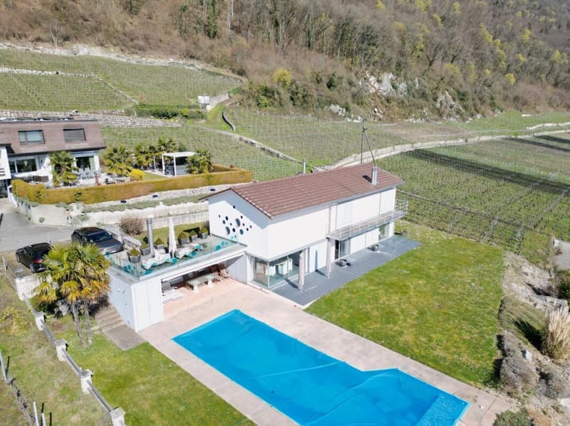 Villa d'exception avec vue spectaculaire sur le lac et l'île St. Pierre (2)