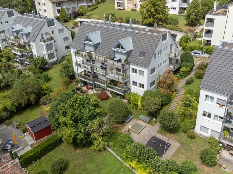 Wohnen im Herzen von Zürich-Höngg mit Balkon und Cheminée (1)