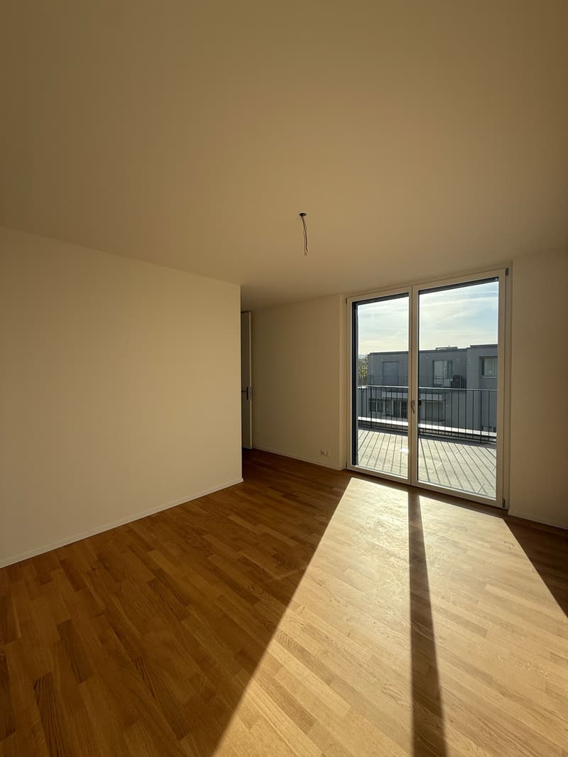 Grosse, einmalige 2.5-Zimmer-Attika Wohnung im Neubau für Terrassenliebhaber (6)
