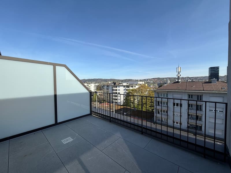 Grosse, einmalige 2.5-Zimmer-Attika Wohnung im Neubau für Terrassenliebhaber (5)