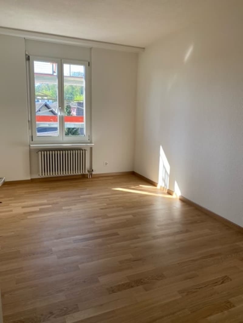 Renovierte 4 1/2-Zimmerwohnungen an ruhiger Lage zu vermieten! (6)