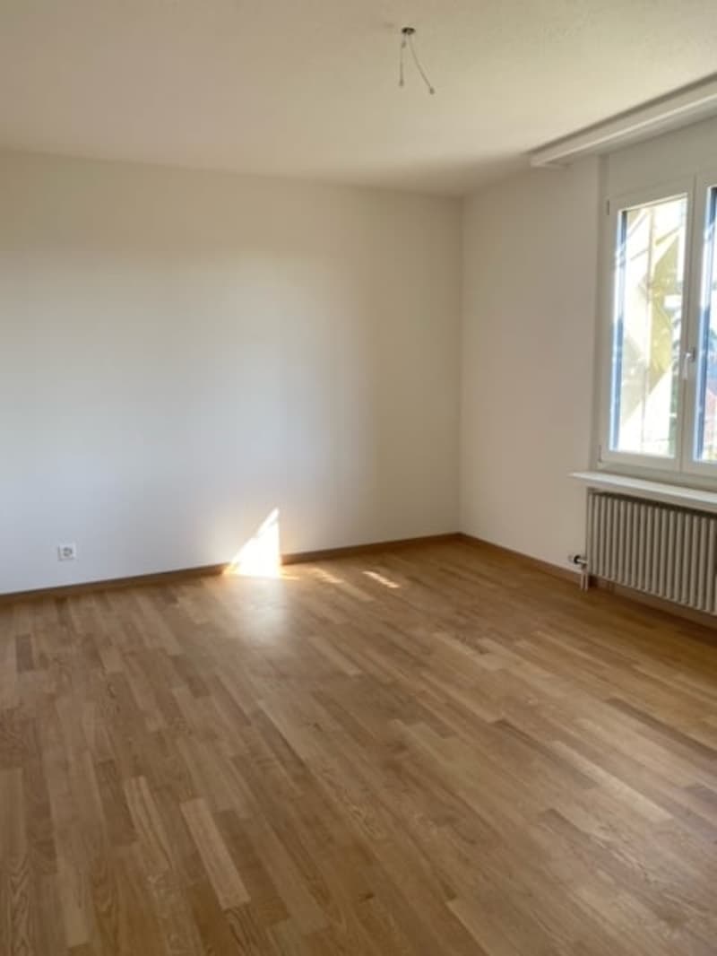 Renovierte 4 1/2-Zimmerwohnungen an ruhiger Lage zu vermieten! (5)