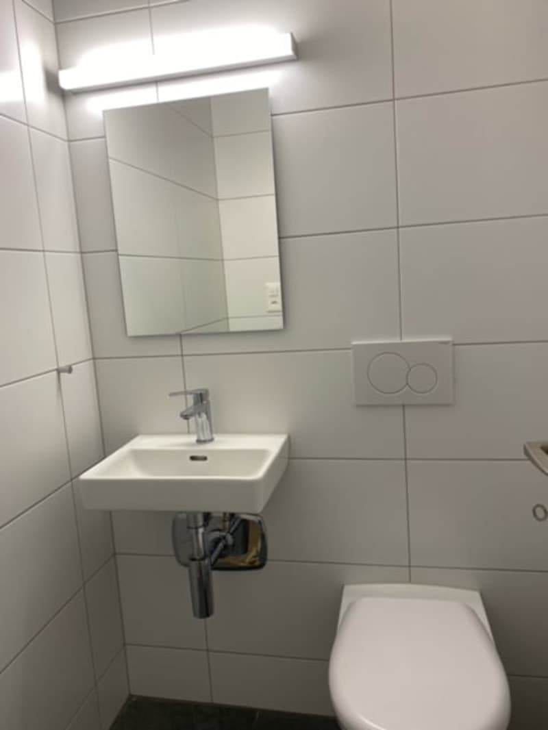 Renovierte 4 1/2-Zimmerwohnungen an ruhiger Lage zu vermieten! (7)