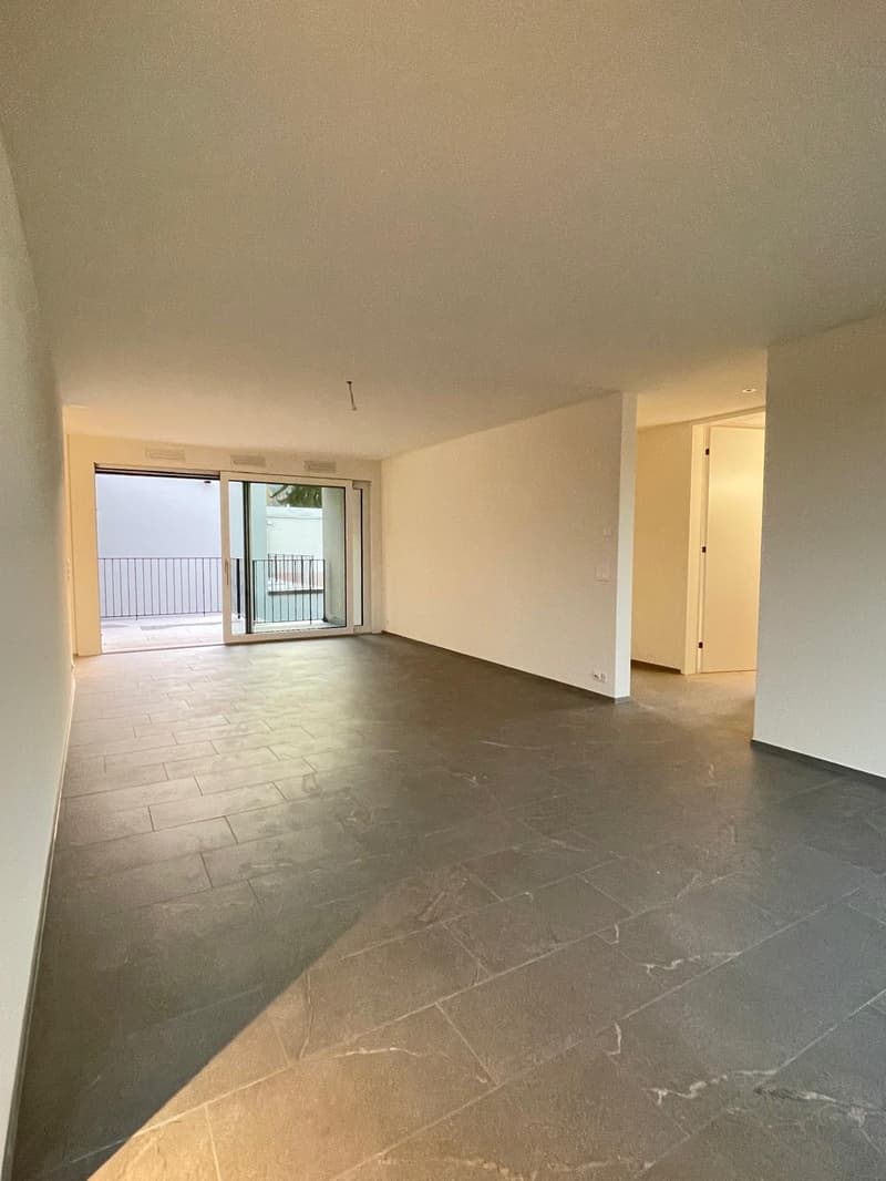 Grosse, hochwertige 4.5-Zimmerwohnung im Neubau (3)