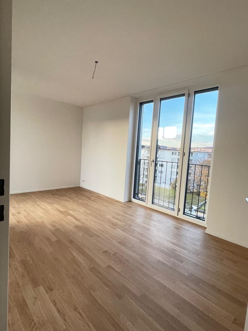 Grosse, hochwertige 4.5-Zimmerwohnung im Neubau (6)
