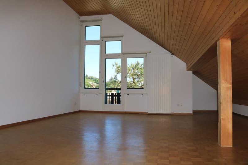 Grosszügige Wohnung an ruhiger Lage (3)