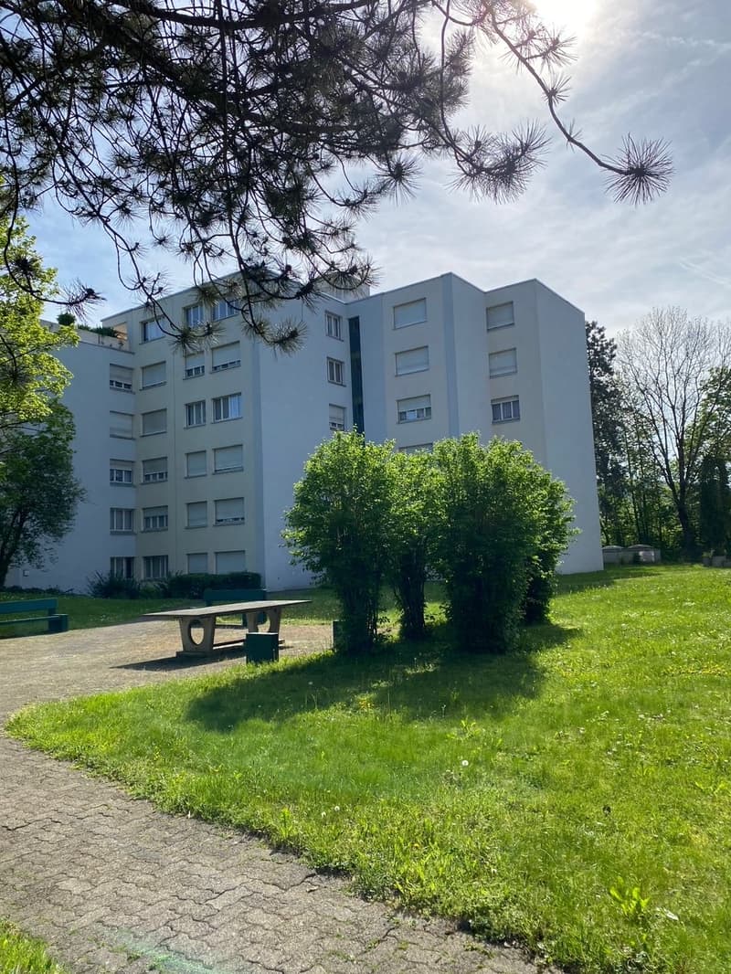 4.5-Zimmerwohnung an ruhiger Lage zu vermieten! (1)