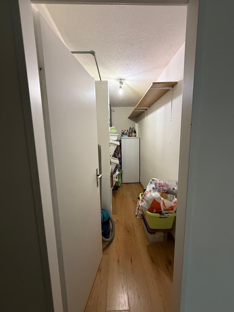 4.5-Zimmerwohnung an ruhiger Lage zu vermieten! (5)