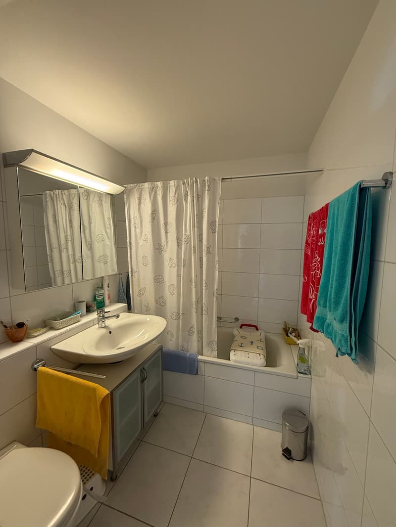 Grosszügige 4-Zimmerwohnung direkt an der Limmat (7)