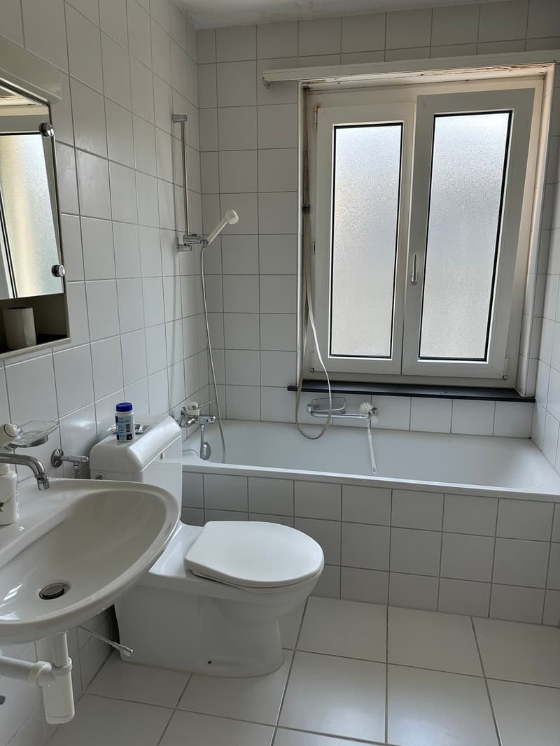 Schöne 4.5-Zimmerwohnung an ruhiger aber doch zentraler Lage! (7)