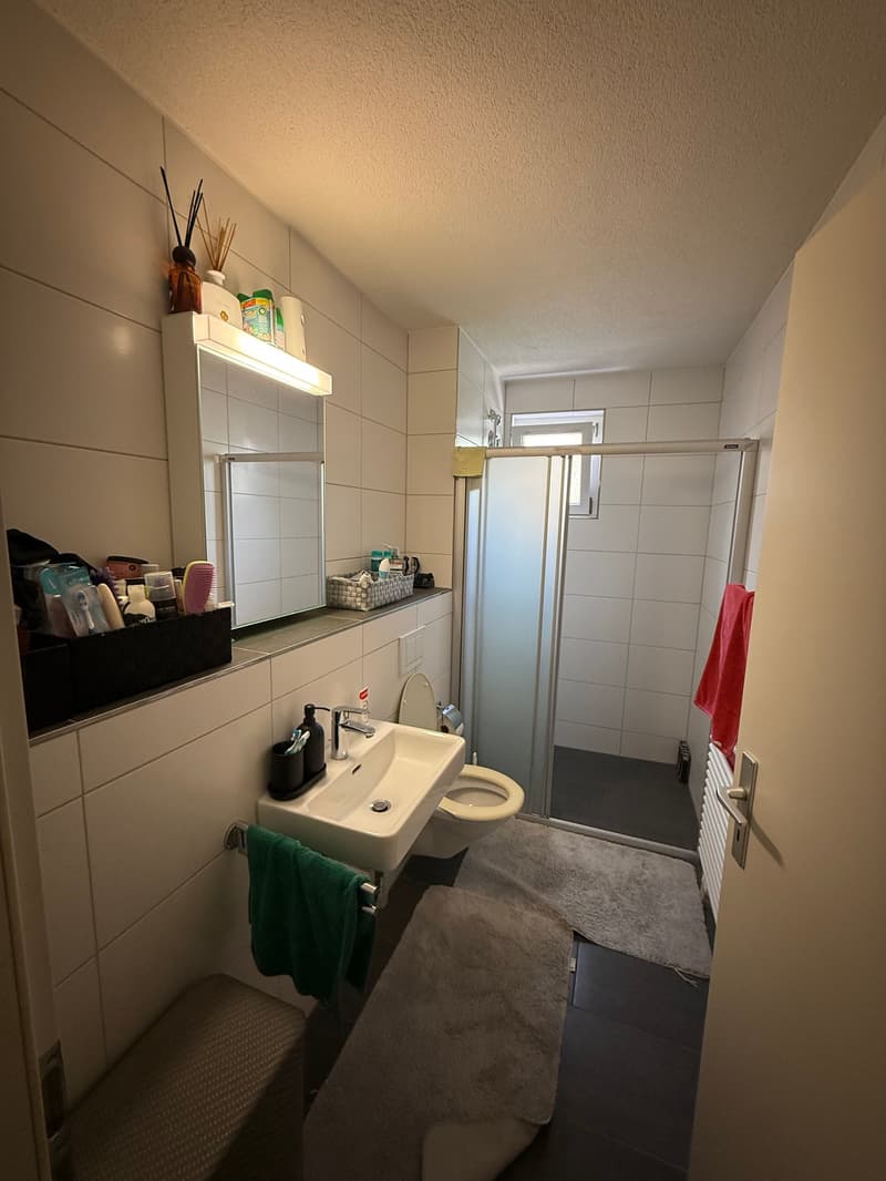 Grosszügige 4.0-Zimmerwohnung zu vermieten! (3)
