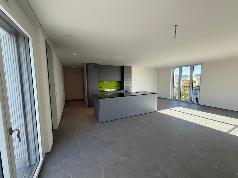 Grosse, einmalige 2.5-Zimmer-Attika Wohnung im Neubau für Terrassenliebhaber (2)