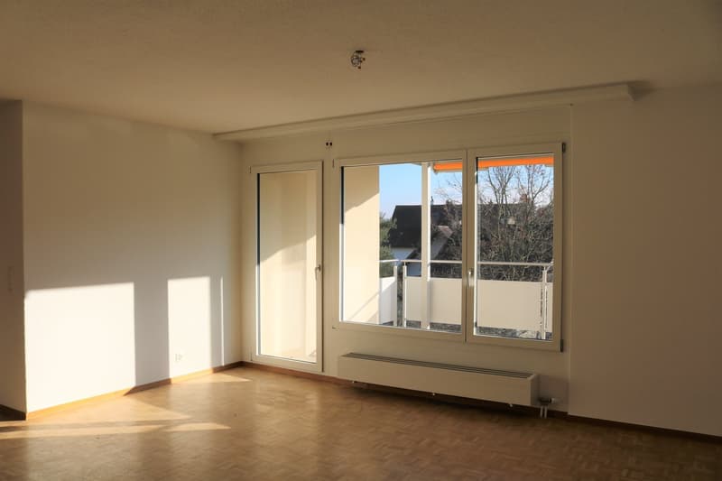 Schöne, renovierte 3 1/2-Zimmerwohnung zu vermieten! (3)