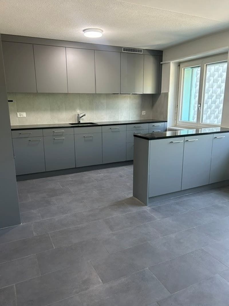 Moderne 3.5-Zimmer-Wohnung im Neubau in Opfikon – sofort verfügbar! (1)