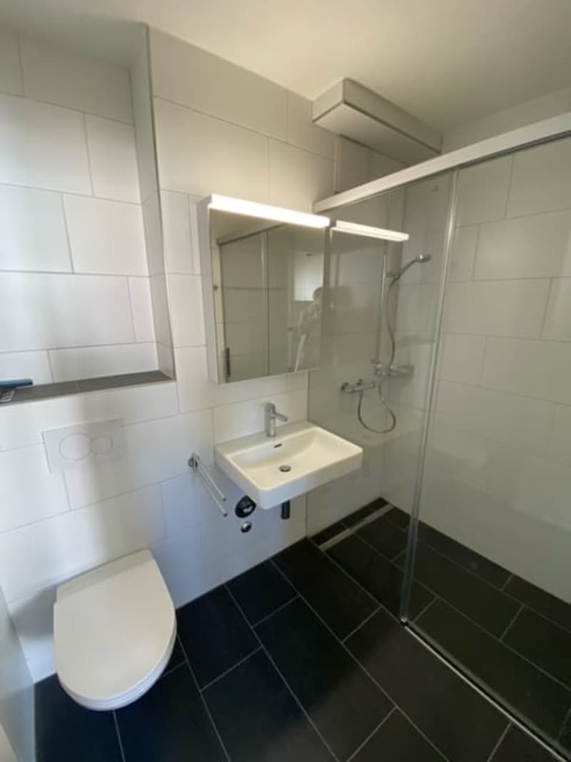 Moderne 1 1/2 Zimmerwohnung an ruhiger Lage zu vermieten! (3)