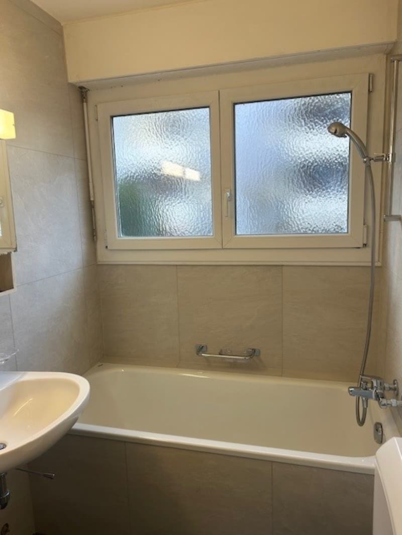 Moderne 4.5-Zimmer-Wohnung mit Sitzplatz in Winterthur (4)