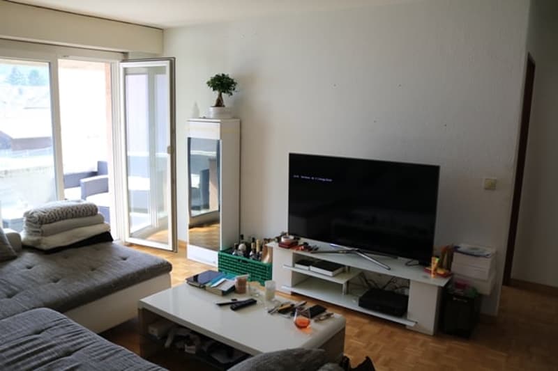 Charmante 3-Zimmer-Wohnung mit Sitzplatz in Winterthur (2)