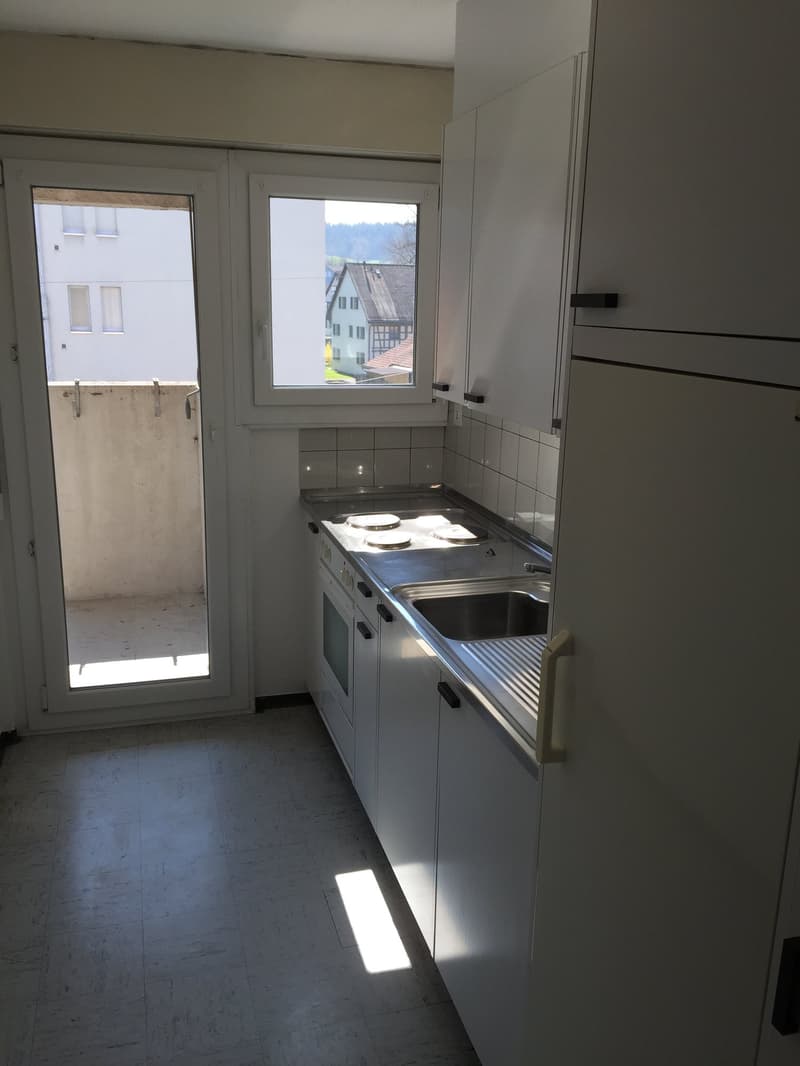 Charmante 3-Zimmer-Wohnung mit Sitzplatz in Winterthur (3)