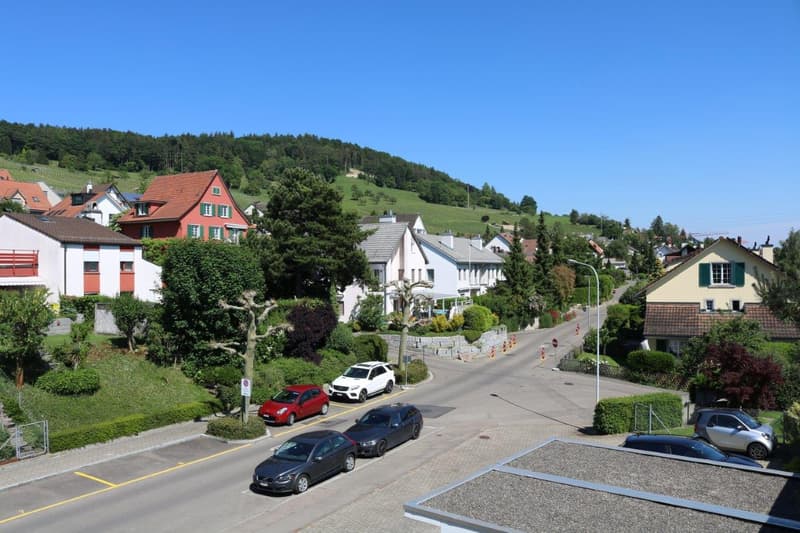 Grosszügige Dachwohnung an ruhiger Lage (2)