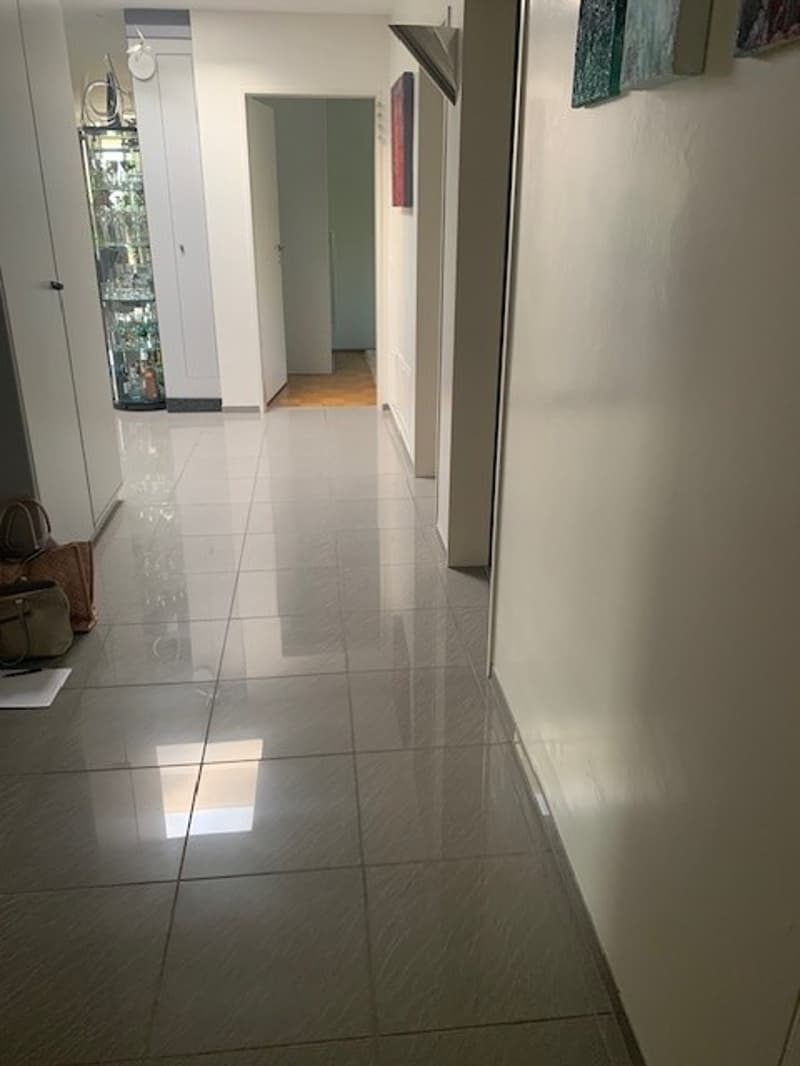 Grosszügige 5.5-Zimmer-Dachwohnung mit Panoramablick (3)
