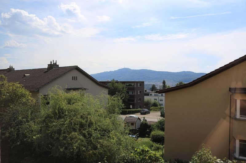 Wunderschöne 4-Zimmerwohnung zu vermieten (7)