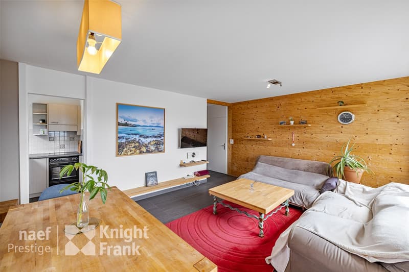 Appartement paisible avec vue dégagée. (2)