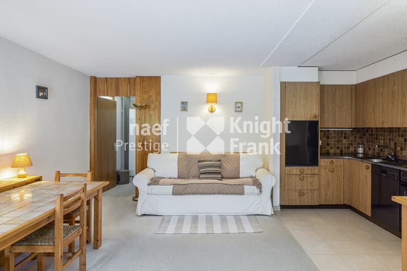 Charmant appartement avec terrasse (3)