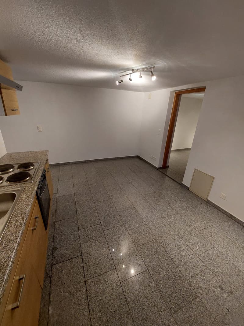 The image shows a spacious apartment unit with a kitchen area and an open living space. The floor is covered in gray granite tiles, and the room is illuminated by a track lighting fixture on the ceiling. The walls are painted in a neutral color, and there