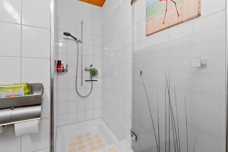 Appartamento moderno 3.5 locali con balcone e garage a Buttikon SZ (14)