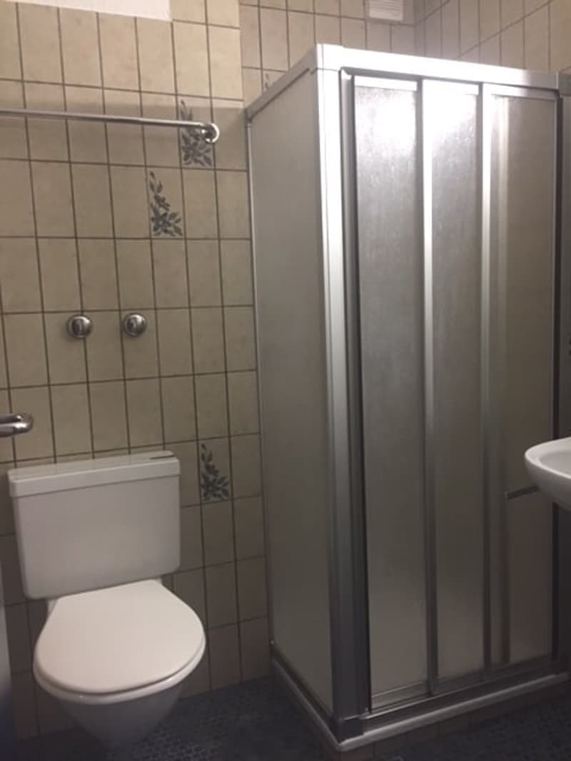2-Zimmer-Wohnung im Erdgeschoss in Glarus Nord (6)