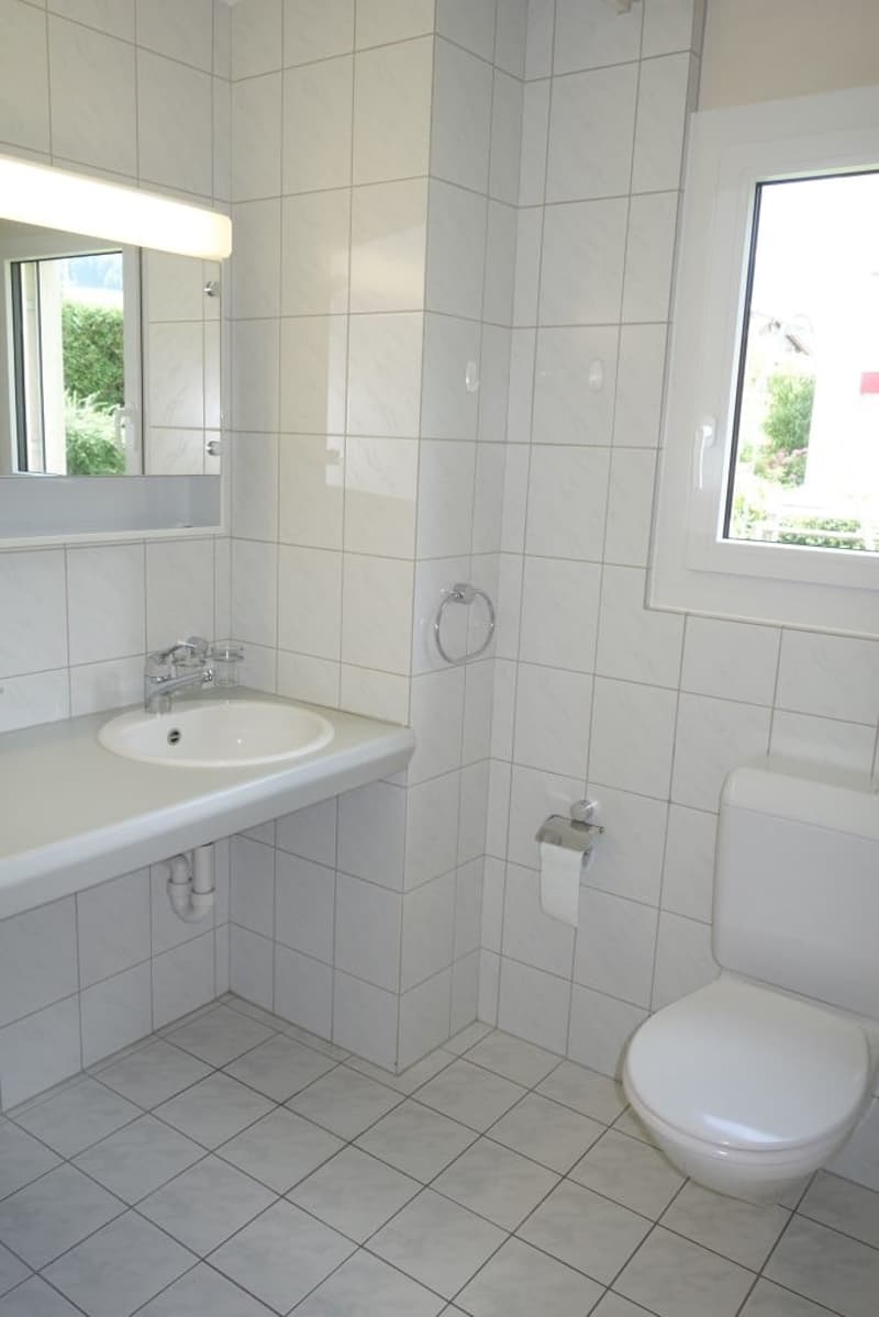Geräumige 4.5-Zimmer-Wohnung im Erdgeschoss in Reichenburg (5)