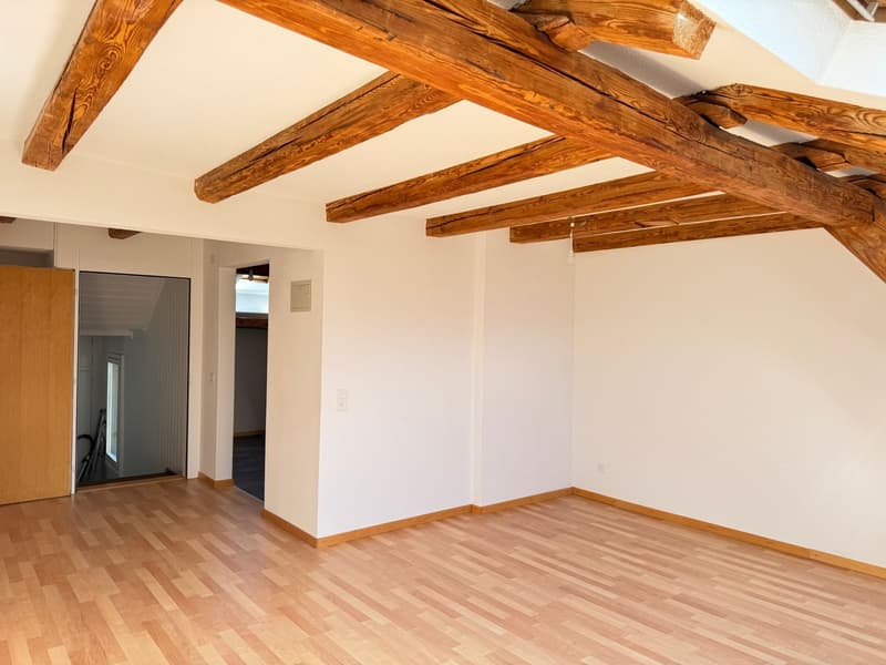 Charmante 2.5-Zimmer-Dachwohnung in Glarus (6)