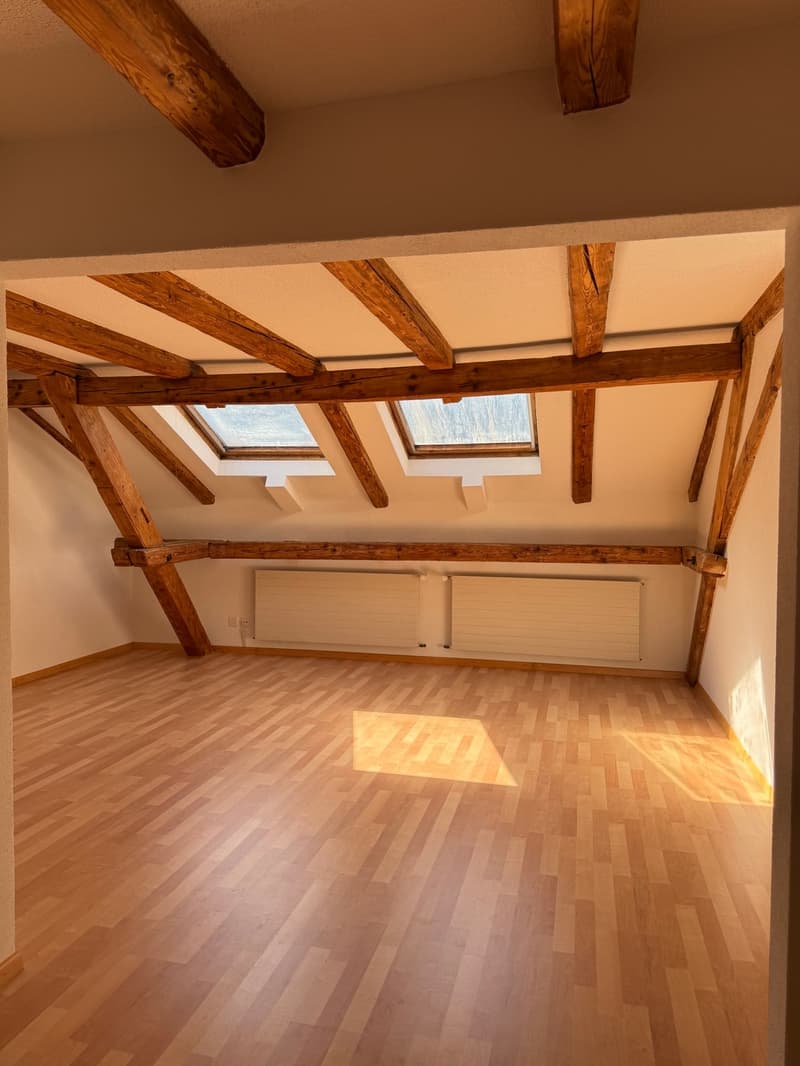 Charmante 2.5-Zimmer-Dachwohnung in Glarus (7)