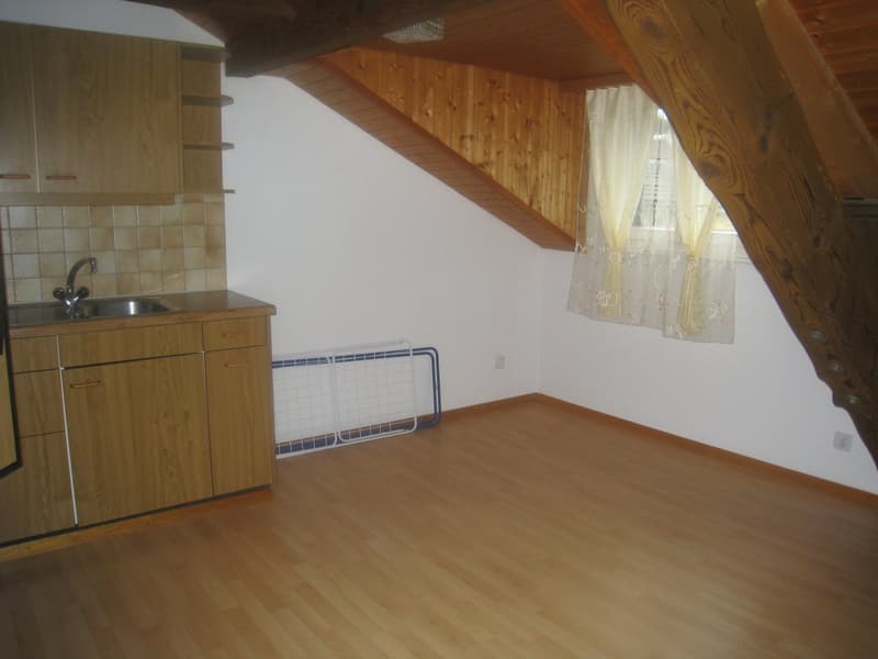 Charmante 3.5-Zimmer-Dachwohnung in Glarus Süd (4)