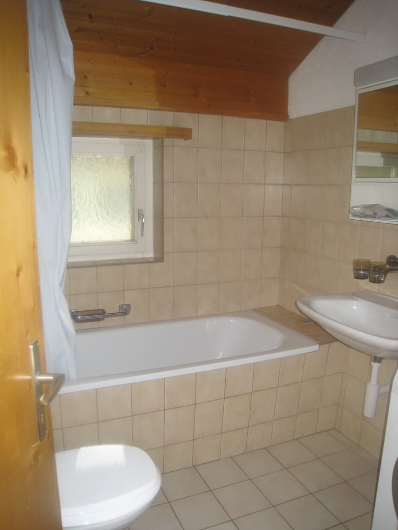 Charmante 3.5-Zimmer-Dachwohnung in Glarus Süd (6)