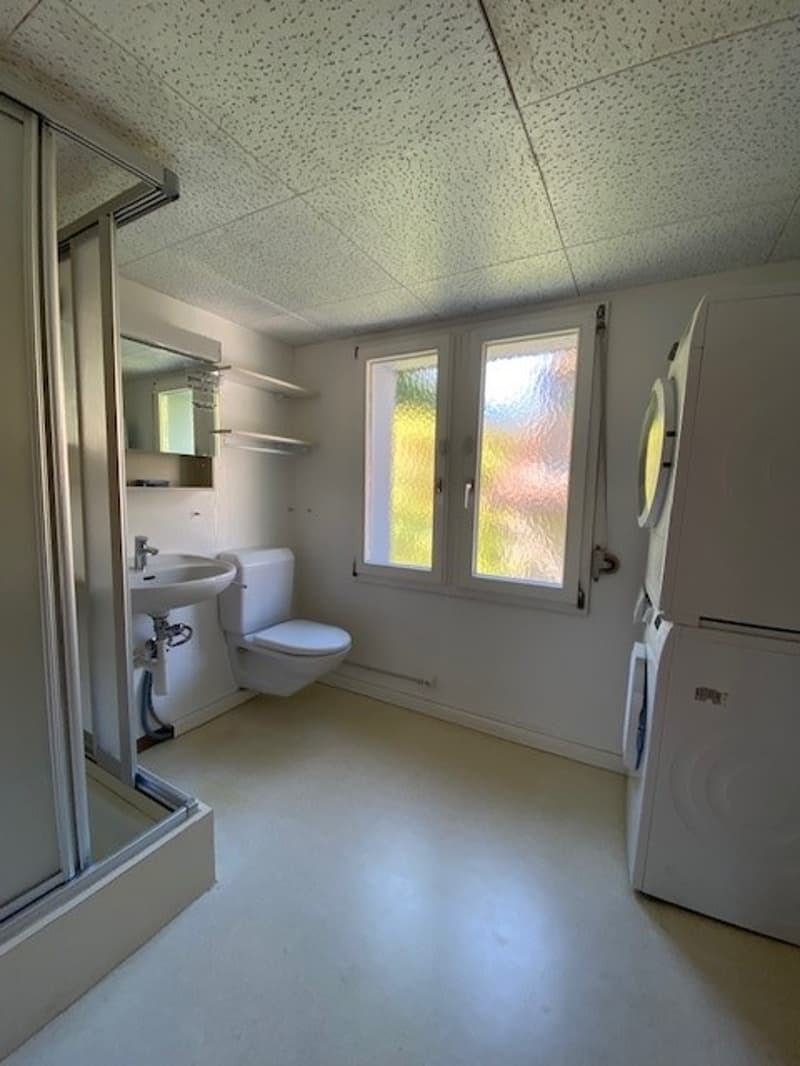 Charmante 3.5- Zimmer-Wohnung mit Cheminée in Schwanden GL (8)