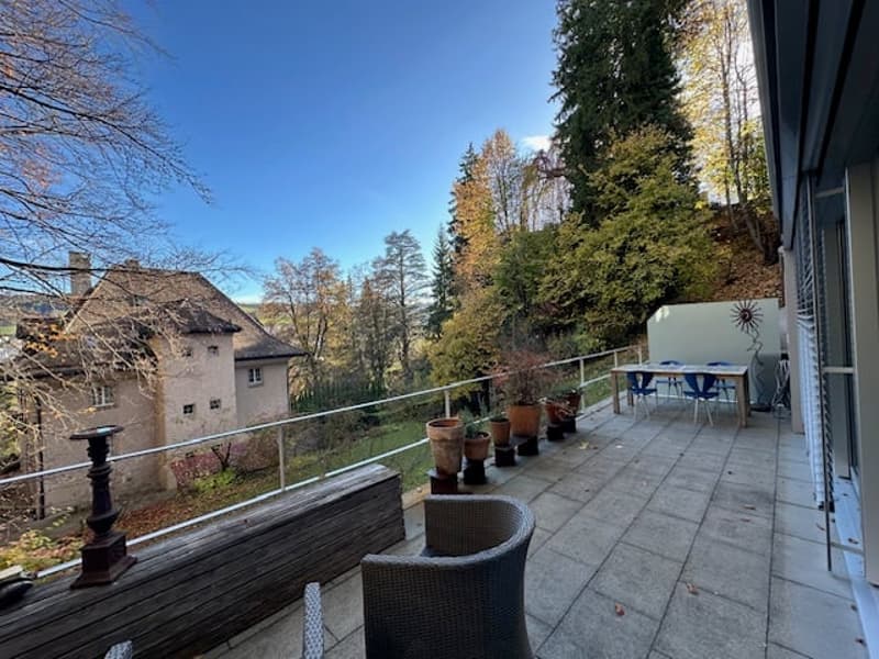 Charmante 3.5-Zimmer-Maisonette-Wohnung an der Goethestrasse in St. Gallen (3)