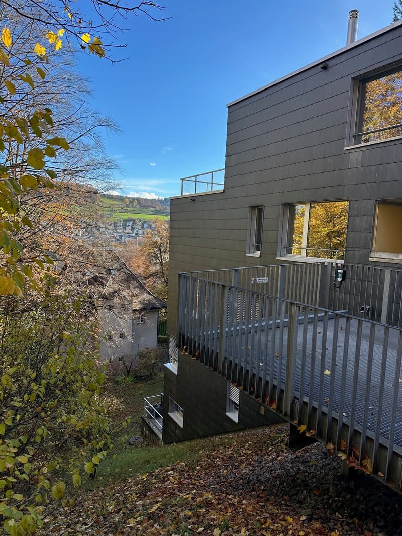 Charmante 3.5-Zimmer-Maisonette-Wohnung an der Goethestrasse in St. Gallen (1)