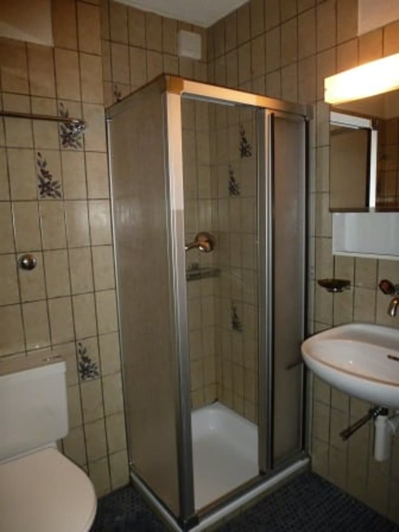 Gemütliche 2-Zimmer-Wohnung im Erdgeschoss in Mollis (6)