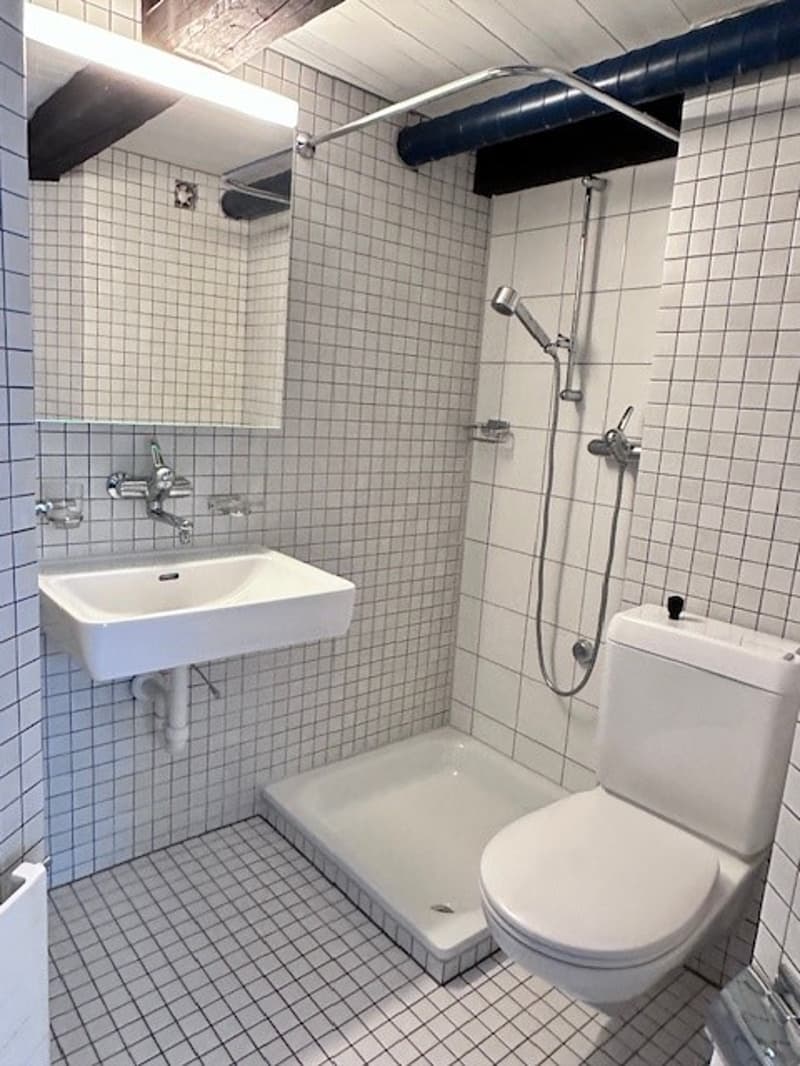 small bathroom with tile walls, white sink, and walk-in shower