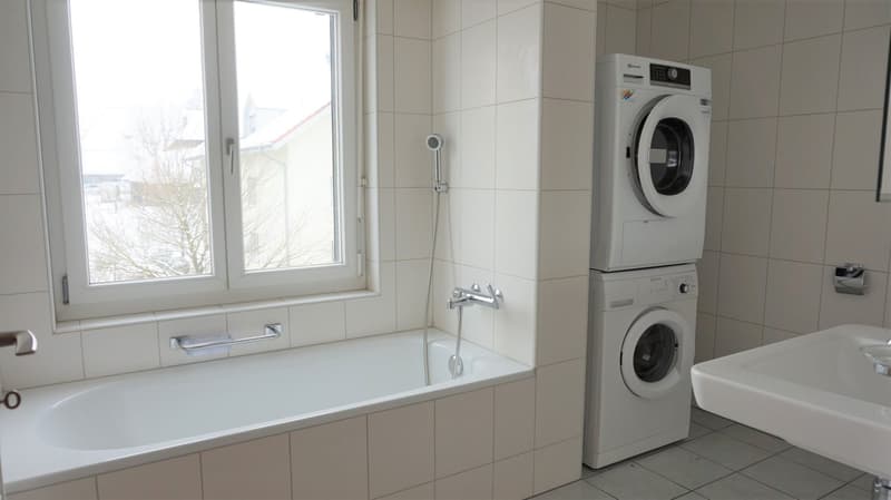 Bathtub, shower, sink, washing machine, dishwasher, window