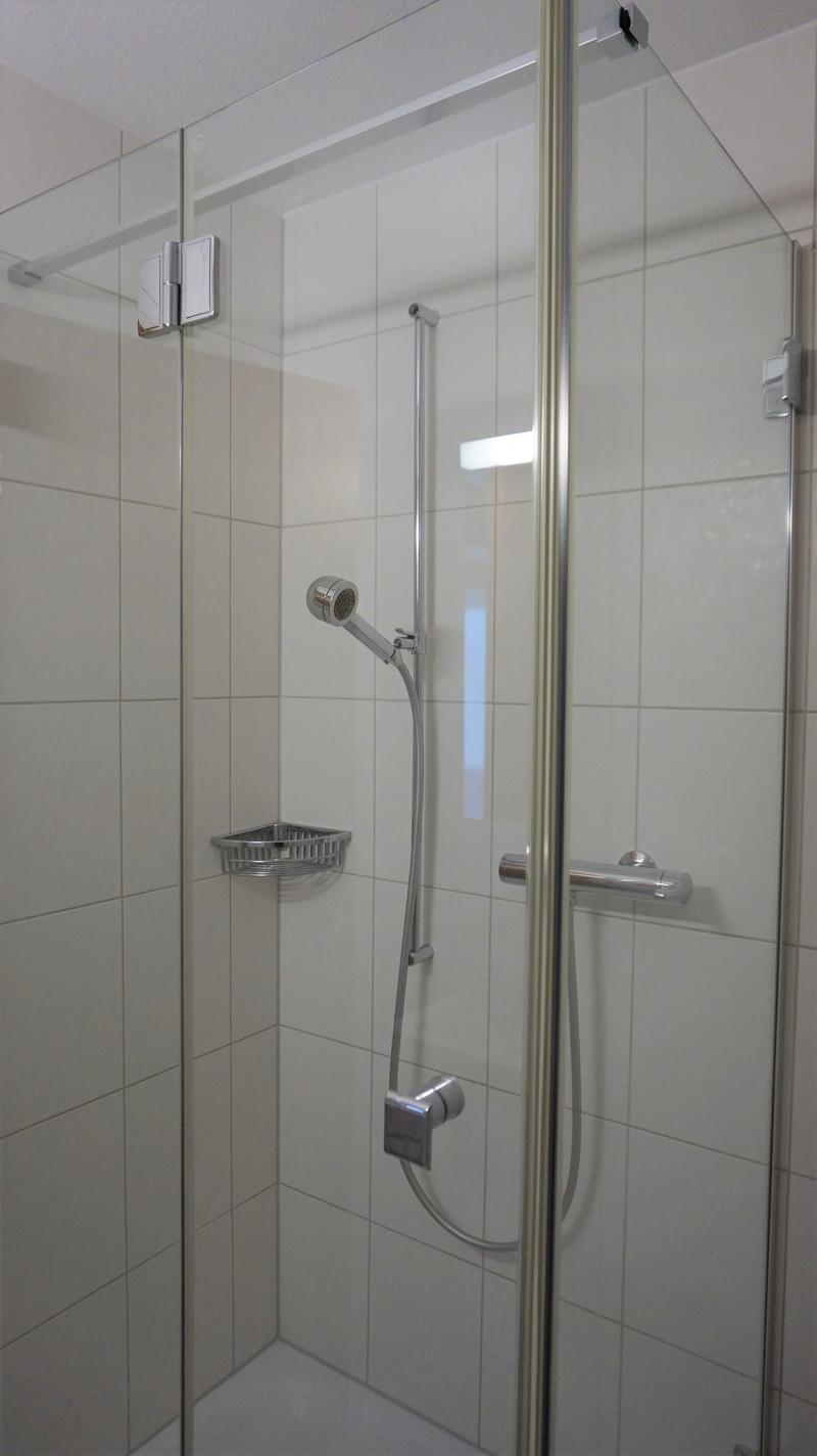 shower area with glass door, shower head, soap dish, and silver handles